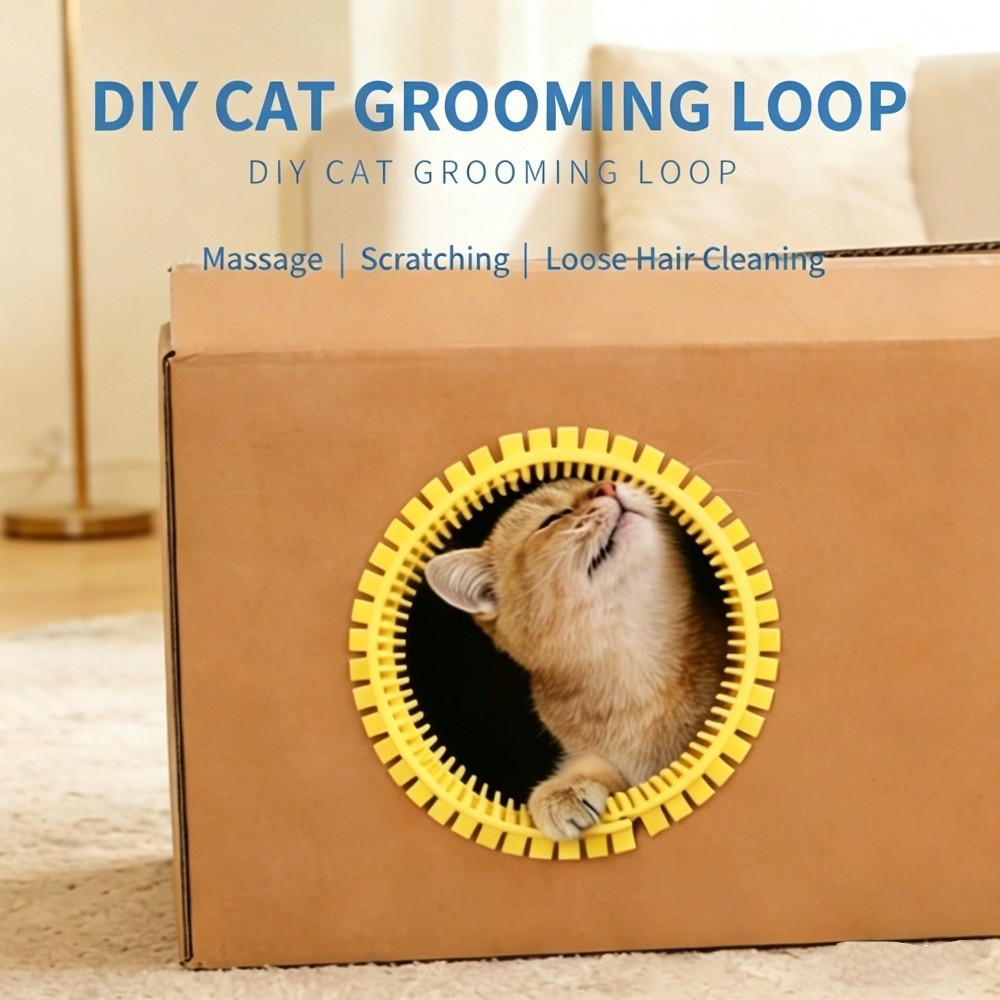 Praktische Katzen-Tunnelbürste – House Hair Care Bewertung und Preis